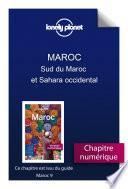 Télécharger le livre libro Maroc 9 - Sud Du Maroc Et Sahara Occidental
